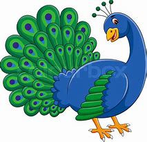 Image result for Peacock Face Cartoon