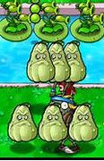 Image result for Squash From Plants vs.Zombies