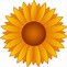 Image result for Sunflower Image Clip Art No Background