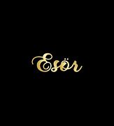 Image result for Esor Investments