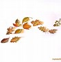 Image result for Windy Leaves