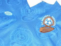 Image result for Fiji Football Shirt