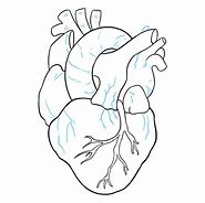 Image result for Picture Drawing Heart Side