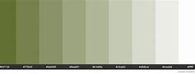 Image result for Olive Green Hex