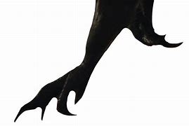 Image result for Indoraptor Claws