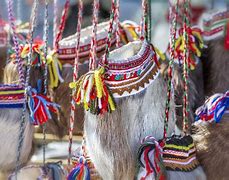 Image result for Southern Sami People