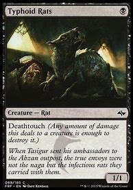 Image result for MTG Rat Cards