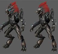 Image result for Halo Skirmisher