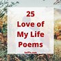 Image result for Love of My Life Text