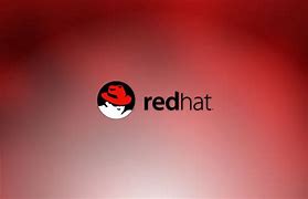 Image result for Red Hat One