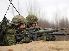 Image result for Canadian Armed Forces Rifle