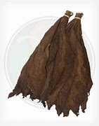 Image result for Tobacco Leaf with Plume