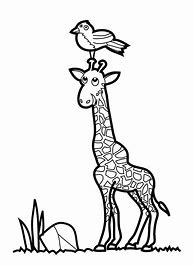 Image result for Baby Giraffe Art