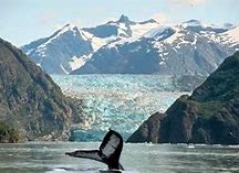 Image result for Tracy Arm Fjord AK