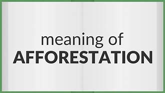 Image result for Afforestation