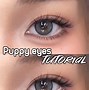 Image result for How to Make Puppy Eyes