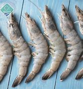 Image result for Hoso Dried Shrimp