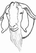 Image result for Boer Goat Head Clip Art