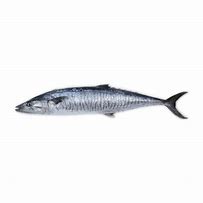 Image result for Kandla Fish