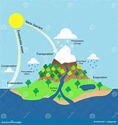 Image result for Water Cycle Illustration