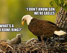 Image result for Eagles One Ring Meme