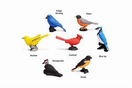 Image result for Backyard Birds Toob