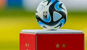 Image result for WSL Footballers