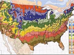 Image result for USDA Plant Zones