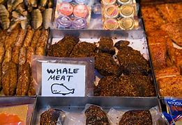 Image result for Whale Meat