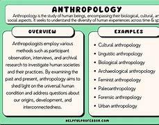 Image result for Anthropology Images