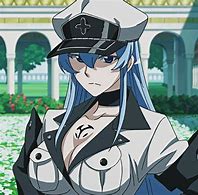 Image result for Esdeath Character Design