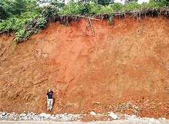 Image result for Tropical Soil