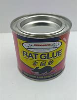 Image result for Glue Blanket for Rat