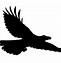 Image result for Raven Flying Drawing