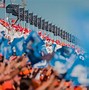 Image result for Dutch GP