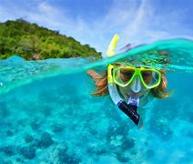 Image result for Snorkeling Pool