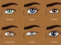 Image result for Cat Eyes Human Shape