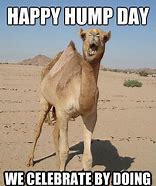 Image result for Happy Hump Day Office