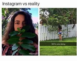 Image result for Internet vs Reality Meme