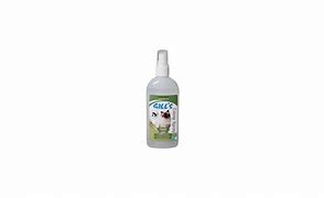 Image result for Catnip Spray