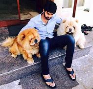 Image result for Naga Shourya Dog Breed