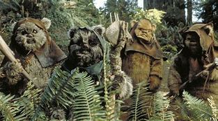 Image result for Ewok Show