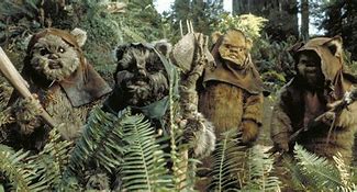 Image result for Elder Ewok