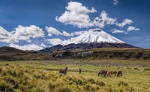 Image result for Cotopaxi National Park