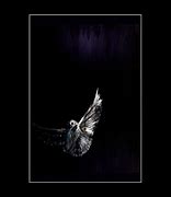 Image result for Night Owl Posters