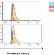 Image result for 4T1 MHC Expression