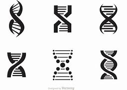 Image result for Double Helix Circle Black and White