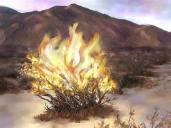 Image result for Burning Bush Exodus 3