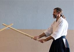 Image result for Aikido Knife