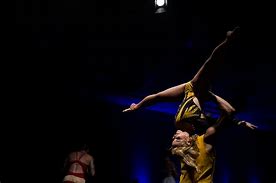 Image result for Circus Artist